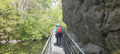 2023-05-04-Lignerolles25