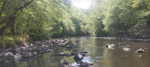 2023-05-04-Lignerolles27