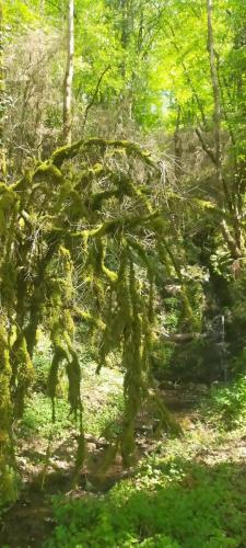 2023-05-04-Lignerolles28