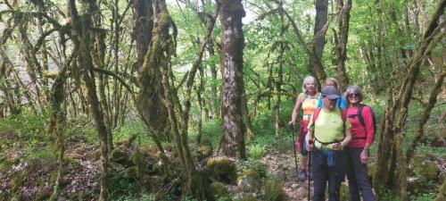 2023-05-04-Lignerolles29