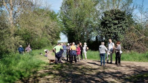 2023-05-04-StPriest03