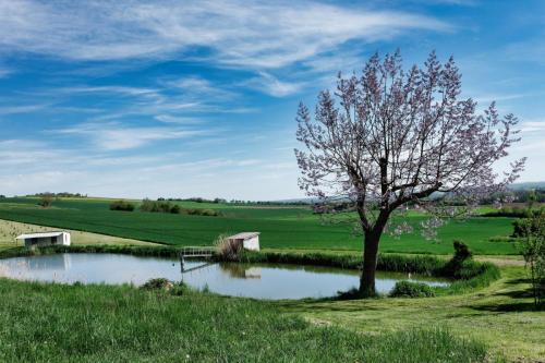 2023-05-04-StPriest06