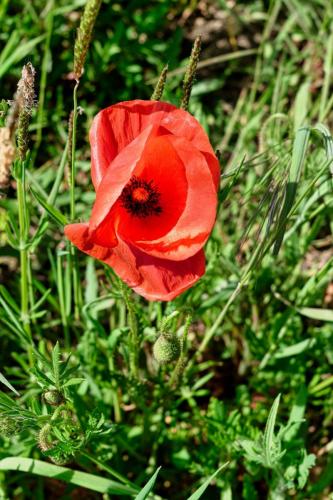 2023-05-04-StPriest07