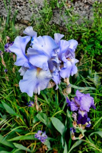 2023-05-04-StPriest09