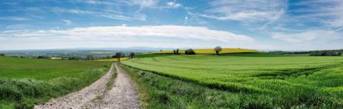 2023-05-04-StPriest10