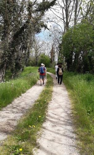 2023-05-04-StPriest12