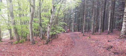 2023-05-09-LaChabanne17