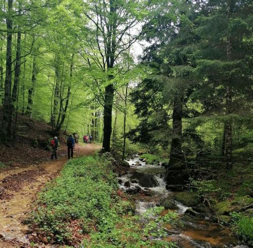 2023-05-09-LaChabanne7