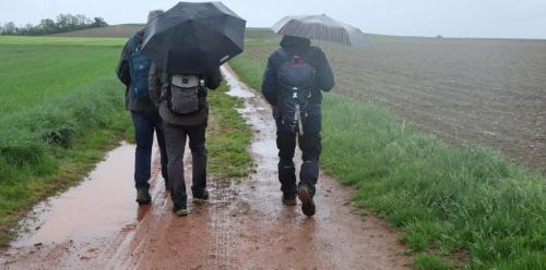 2023-05-09-StAgoulin02