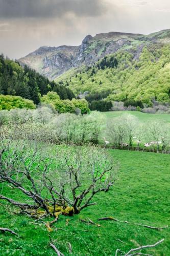 2023-05-10-Aydat14 (1)