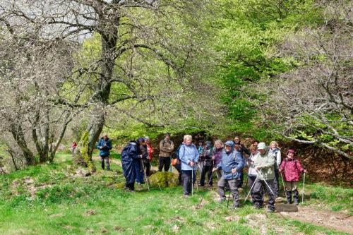 2023-05-10-Aydat22 (1)