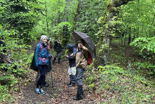 2023-05-16-Ferrieres02