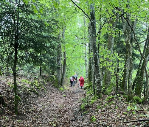 2023-05-16-Ferrieres03