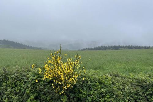 2023-05-16-Ferrieres05