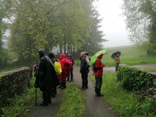 2023-05-16-Ferrieres11