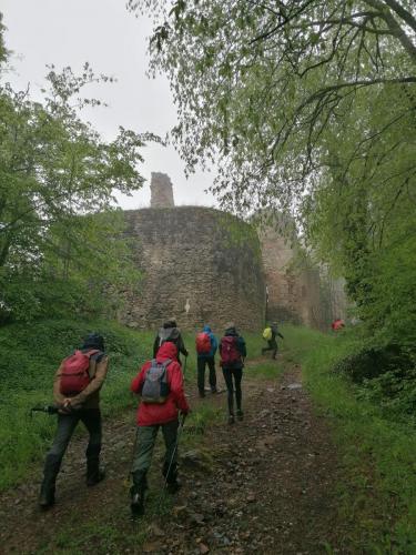 2023-05-16-Ferrieres12