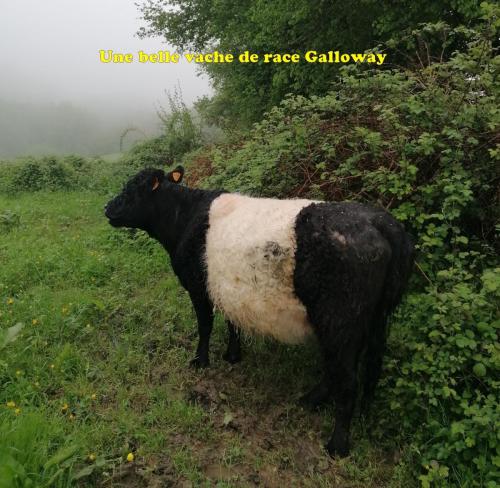 2023-05-16-Ferrieres16