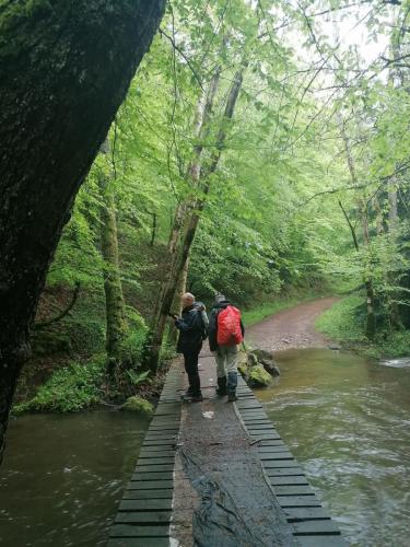 2023-05-16-Ferrieres17