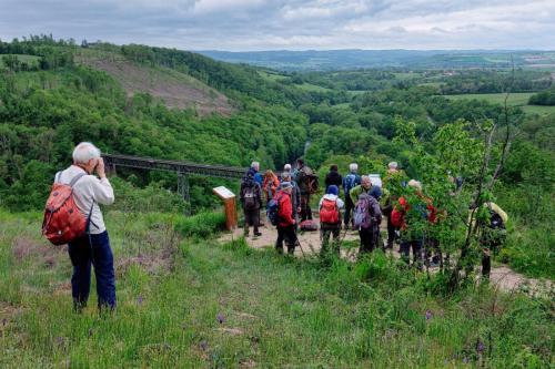 2023-05-16-StBonetR01