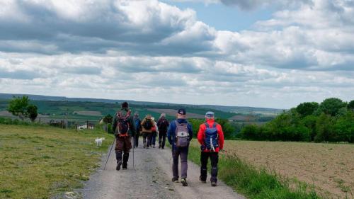 2023-05-16-StBonetR07