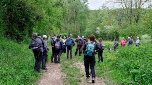 2023-05-16-StBonetR09