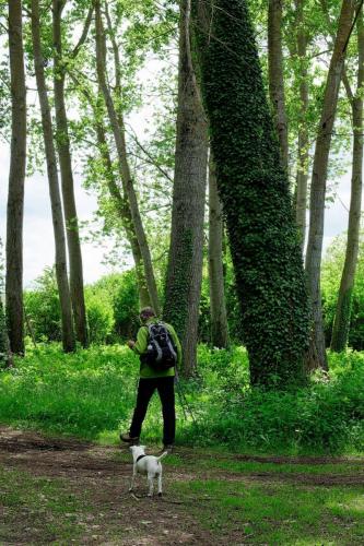 2023-05-16-StBonetR10