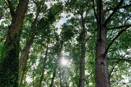 2023-05-16-StBonetR11