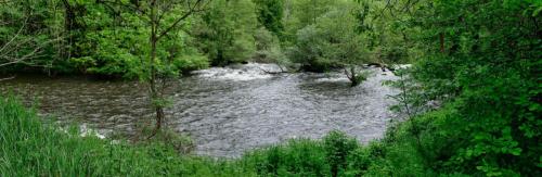 2023-05-16-StBonetR15