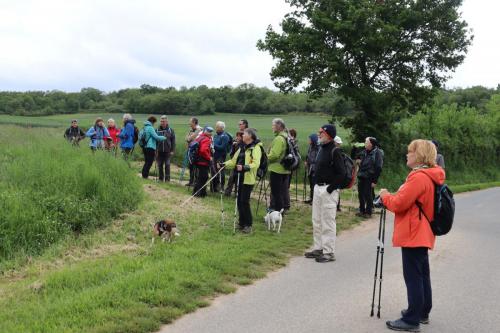 2023-05-16-StBonetR17