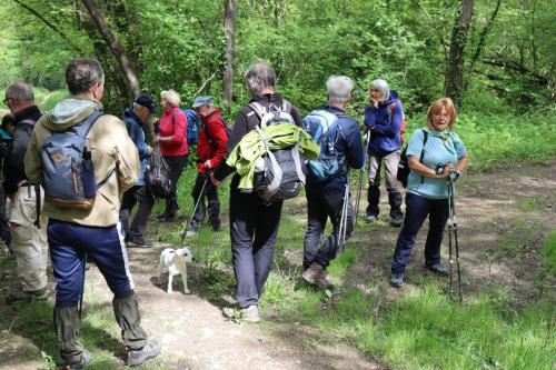 2023-05-16-StBonetR20