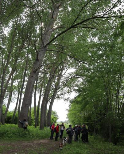 2023-05-16-StBonetR21