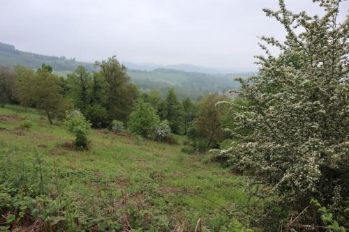 2023-05-23-LeMayet03