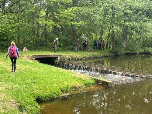 2023-05-23-Montaiguet05