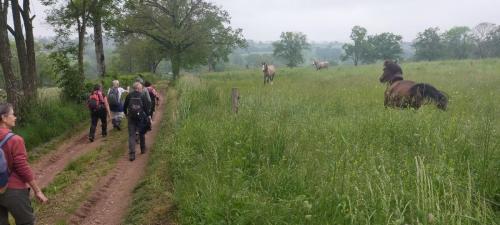 2023-05-23-Montaiguet15