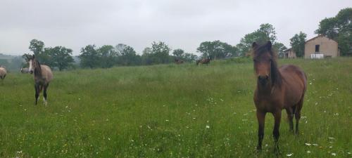 2023-05-23-Montaiguet16