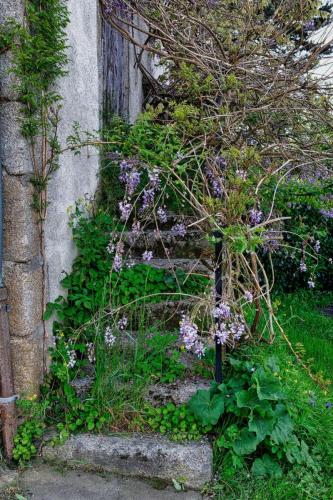 2023-05-25-Lachaux01