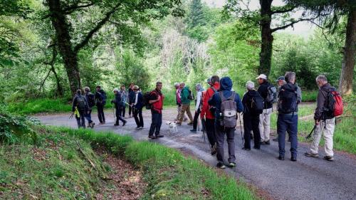 2023-05-25-Lachaux03