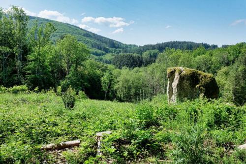 2023-05-25-Lachaux05