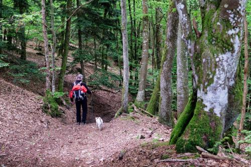 2023-05-25-Lachaux12