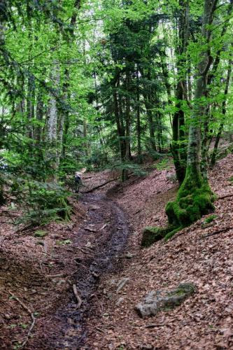 2023-05-25-Lachaux13