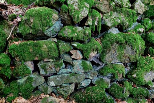 2023-05-25-Lachaux14