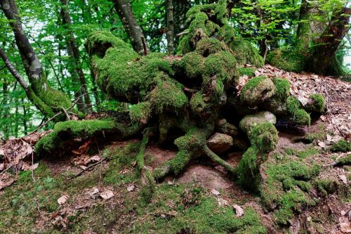 2023-05-25-Lachaux16