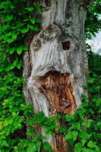 2023-05-25-Lachaux17