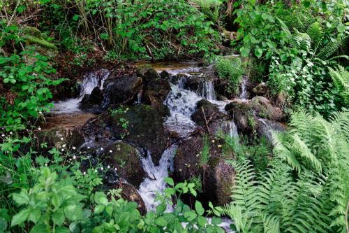 2023-05-25-Lachaux19