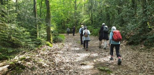 2023-05-25-Lachaux20