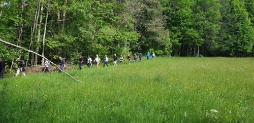 2023-05-25-Lachaux22