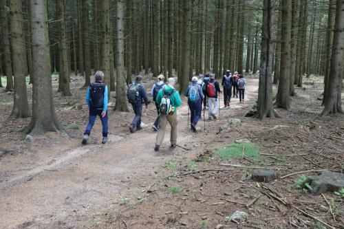 2023-05-25-Lachaux27