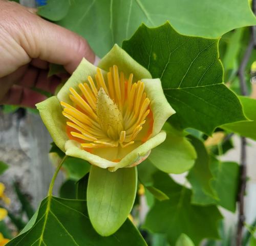 2023-05-25-LeVernet11