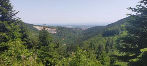 2023-05-29-LesNoes05