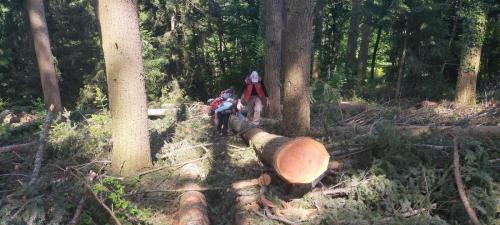 2023-05-29-LesNoes12